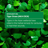Tiger Grass Color Correcting Treatment